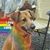 Trish Hutchins King's profile image