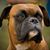 Jason Jones's profile image