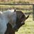 Susan Wellborn's profile image
