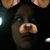 Vanessa Perez's profile image