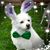 Amy Koller's profile image