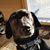 Sue Amundson's profile image