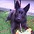 Jennifer Linn's profile image