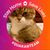 Paula Lane's profile image