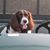 Doreen Zimmerman's profile image