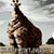 Stacey L Grulkowski's profile image