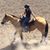 Madisen Granado's profile image