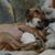 Heather McMenomy's profile image