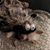Kathy Clinton's profile image