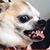 Doug Zannis's profile image