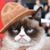 Sandra Gale's profile image