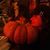 Susan Conroy's profile image