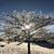 Christy Rook Newby's profile image