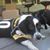 Kelli Thomas Bittinger's profile image
