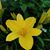 Robin S. Hooper Jordan's profile image