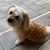 Joy Jacque's profile image