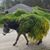 David Lasater's profile image