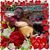 Jimmy Forrester's profile image