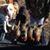Clayton Phinney's profile image