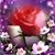 Roseann Denise Bennett Hurt's profile image