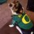Bradi Brown's profile image