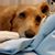 Leisa Matherly's profile image
