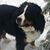 Ann Kielbania's profile image