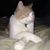 Henry Mason's profile image