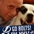 David E Pagnott's profile image