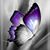 Beth Carter's profile image