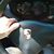 Frederic M Soliman's profile image