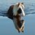 Beckie Mcclintick's profile image