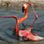 Lynn Van Dorn's profile image