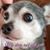 Cindy Ann Myaheart's profile image