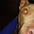 Wally B.'s profile image