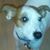 Mike Crosby's profile image