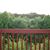 Cindy Walker Sanchez's profile image