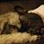 Gail Wiseman's profile image