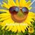 Lidia Cocco's profile image