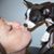 Susan Pollard-Tietge's profile image