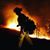 Dennis Sarrett's profile image