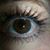 Renata Toly's profile image