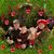 Cecilia Sayre's profile image