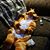 Barbara Pelkey's profile image