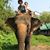 Dianne Laidlaw-Regier's profile image