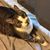 Madeline Tillman's profile image