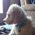 Sidnie Olson's profile image