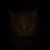 Mimi Levenson's profile image