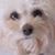 Eileen Connolly's profile image