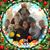 Tara Stenson's profile image